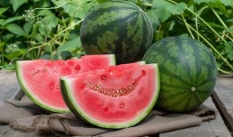 吃瓜高清壁纸下载免费,尽享视觉盛宴