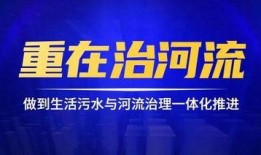 鼎丰集团爆料事件视频播放,事件全解析