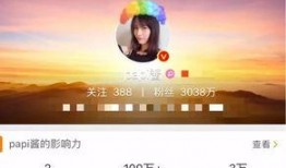 爆料娱乐圈网红小说免费阅读,免费阅读，揭秘网红幕后故事